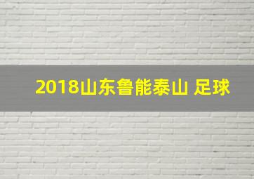 2018山东鲁能泰山 足球